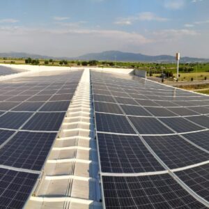 WhatsApp Image 2022-08-19 at 16.29.19 (2)